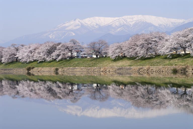 Hitome Senbonzakura